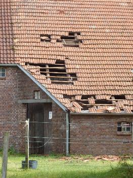 Blick auf die Löcher im Stalldach