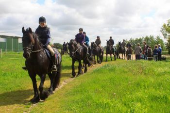 Los geht's! Die Reiter starten vom Platz in Richtung Moor