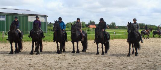Reiter und Pferde - fertig zum Ausritt