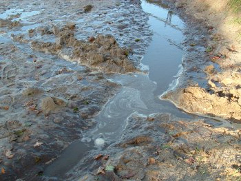 Durch die Abflussgräben fließt das Wasser vom Reitplatz