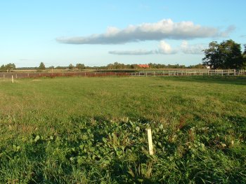 Holzpflock zum Abstecken der Hallengröße