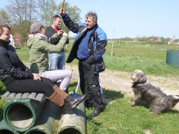 Spielen mit Sammy und das Treiben auf dem Reitplatz beobachten