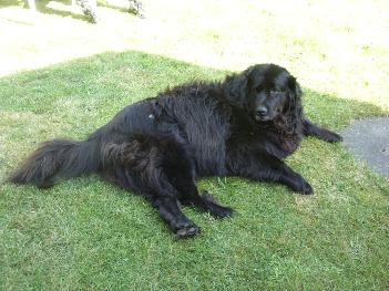 Cindy liegt in der Sonne