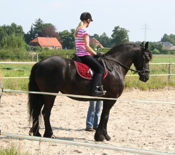 Namkje mit Reiterin - Unterricht auf dem Reitplatz