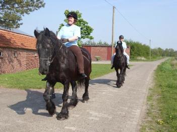 Zwei Reiterinnen reiten hintereinander am Nachbarhof vorbei